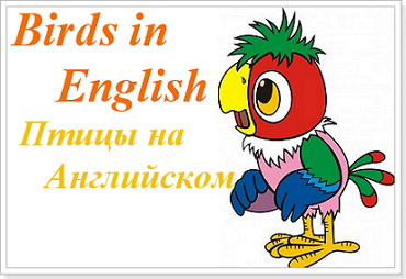 Как по английски пишется слово птица