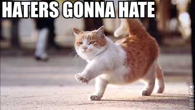 Перевод фразы haters gonna hate