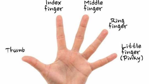 Произношение на английском большой палец